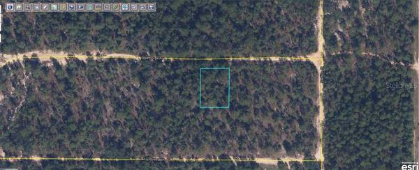 6213 OLGETHORPE AVE, Keystone Heights, FL 32656
