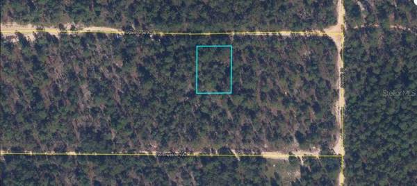 6213 OLGETHORPE AVE, Keystone Heights, FL 32656