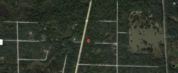 8250 TREIMAN BLVD BLVD, Webster, FL 33597