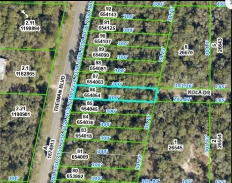 8250 TREIMAN BLVD BLVD, Webster, FL 33597