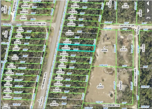 8086 TREIMAN BLVD BLVD, Webster, FL 33597