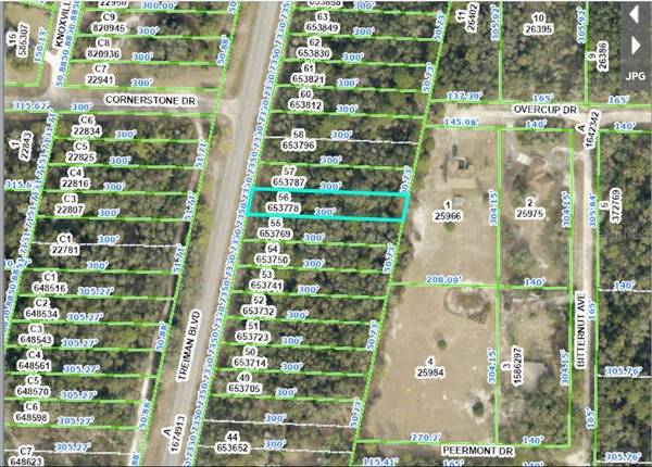 8086 TREIMAN BLVD BLVD, Webster, FL 33597