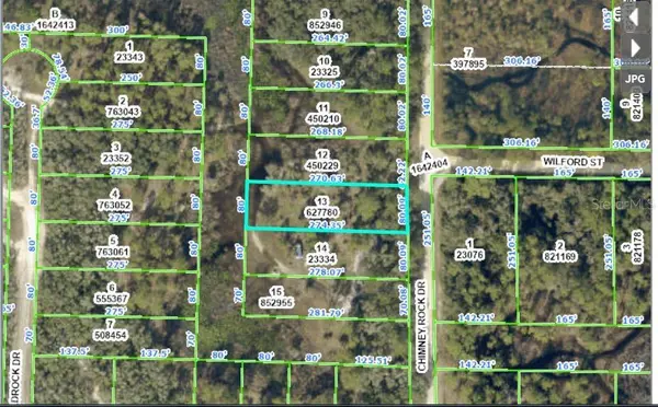 CHIMNEY ROCK DR, Webster, FL 33597