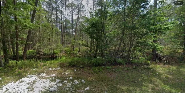 209 SE PARADISE LAKES, Georgetown, FL 32139