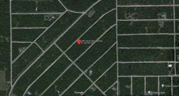 209 SE PARADISE LAKES, Georgetown, FL 32139
