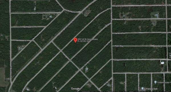 209 SE PARADISE LAKES, Georgetown, FL 32139