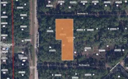 103 NORTHEAST CT, Georgetown, FL 32139