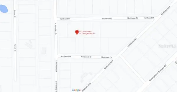 103 NORTHEAST CT, Georgetown, FL 32139