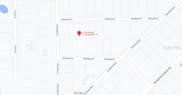 103 NORTHEAST CT, Georgetown, FL 32139