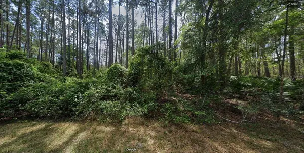 103 NORTHEAST CT, Georgetown, FL 32139
