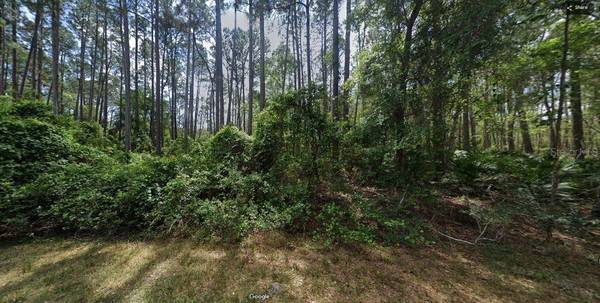 103 NORTHEAST CT, Georgetown, FL 32139