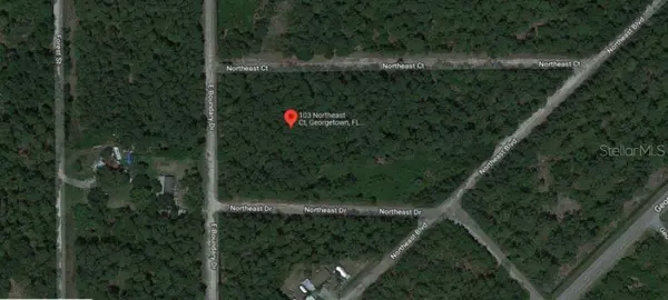 103 NORTHEAST CT, Georgetown, FL 32139