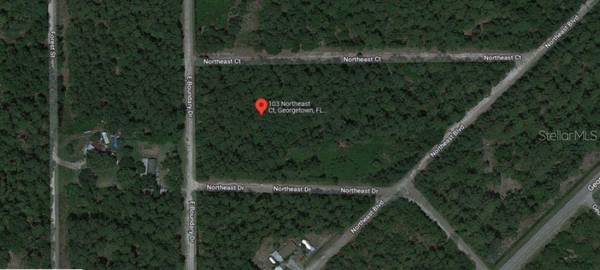 103 NORTHEAST CT, Georgetown, FL 32139