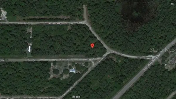 SHIRLEY CIR,, Georgetown, FL 32139