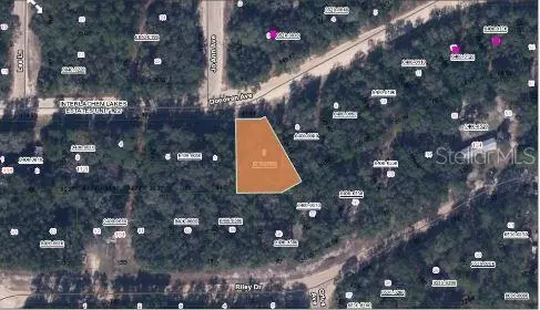 RILEY DR, Interlachen, FL 32148