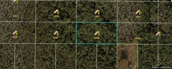 E COLONIAL DR, Orlando, FL 32820