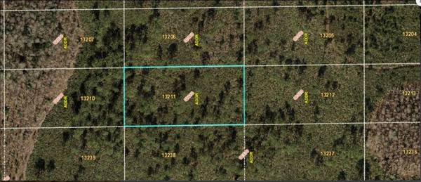 DILL RD, Orlando, FL 32820