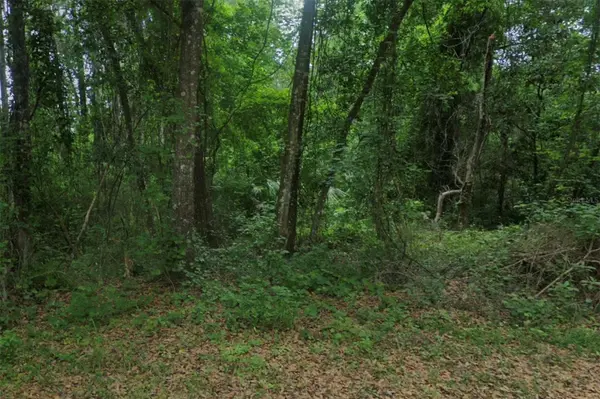 102 RIDGELINE AVE, Satsuma, FL 32189