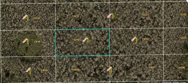 DILL RD, Orlando, FL 32820