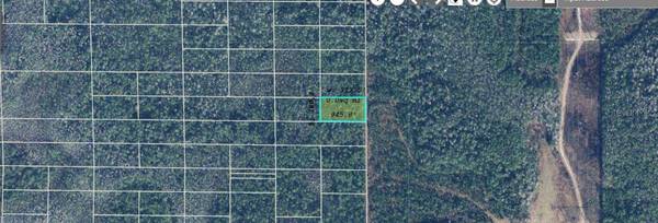 DILL RD, Orlando, FL 32820