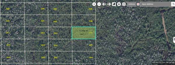 DILL RD, Orlando, FL 32820