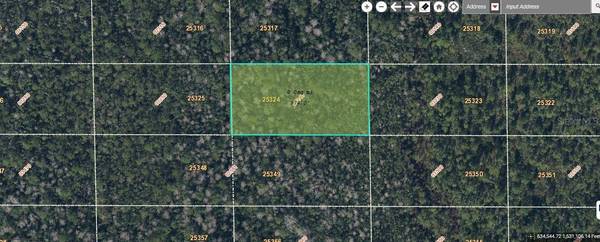 DILL RD, Orlando, FL 32820