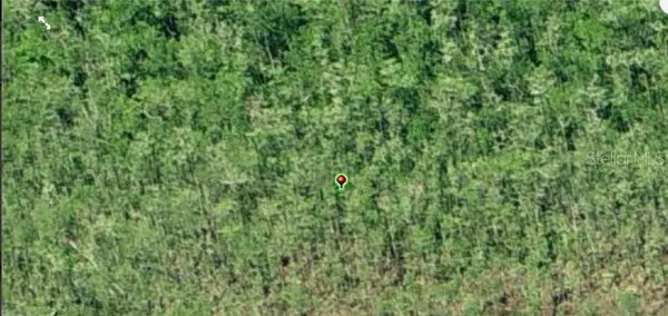 DILL RD, Orlando, FL 32820