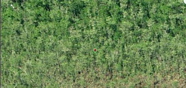DILL RD, Orlando, FL 32820