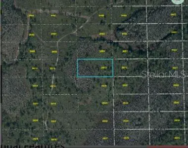 DILL RD, Orlando, FL 32820