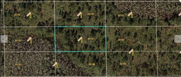 DILL RD, Orlando, FL 32820