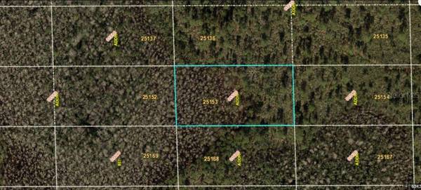DILL RD, Orlando, FL 32820