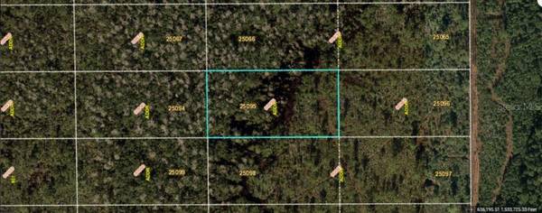 DILL RD, Orlando, FL 32820