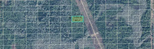 DILL RD, Orlando, FL 32820