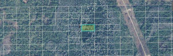 DILL RD, Orlando, FL 32820