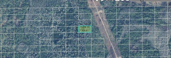 DILL RD, Orlando, FL 32820