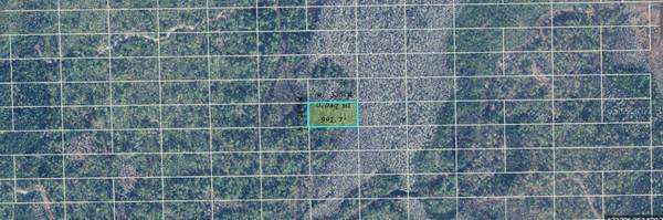 DILL RD, Orlando, FL 32820