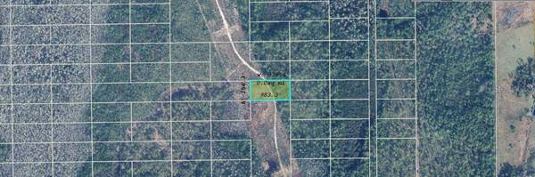 DILL RD, Orlando, FL 32820