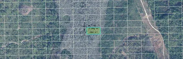 DILL RD, Orlando, FL 32820