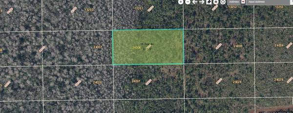 DILL RD, Orlando, FL 32820