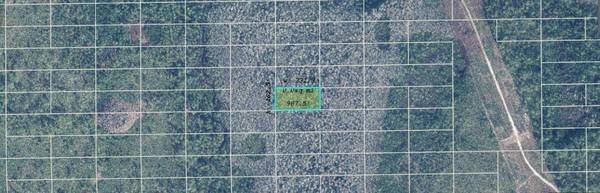 DILL RD, Orlando, FL 32820