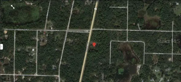 7338 TREIMAN BLVD, Webster, FL 33597