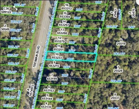 7338 TREIMAN BLVD, Webster, FL 33597
