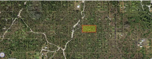 HOLOPAW GROVES RD, St Cloud, FL 34773