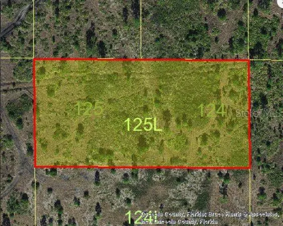HOLOPAW GROVES RD, St Cloud, FL 34773