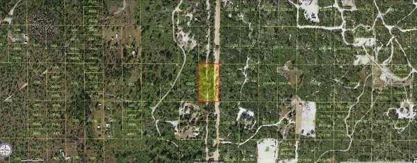 HOLOPAW GROVES RD, St Cloud, FL 34773