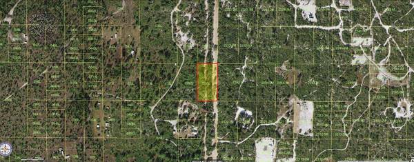 HOLOPAW GROVES RD, St Cloud, FL 34773