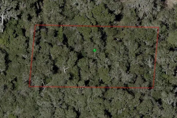E BERLIN ST, De Leon Springs, FL 32130