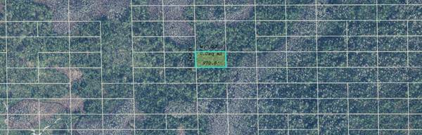DILL RD, Orlando, FL 32820