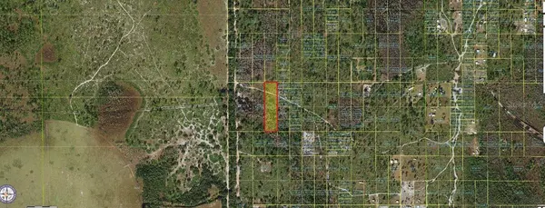 HOLOPAW GROVES RD, St Cloud, FL 34773