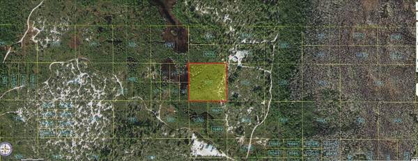 HOLOPAW GROVES RD, St Cloud, FL 34773